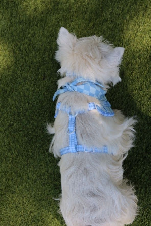 Diamond District Harness