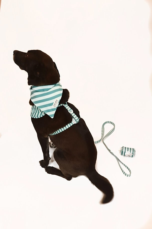 Emerald Estate Bandana