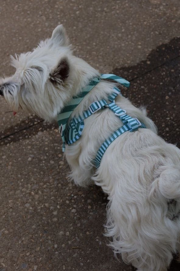 Emerald Estate Harness