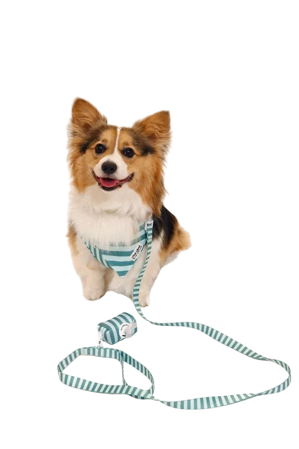 Emerald Estate Leash