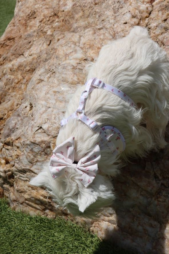 Pink Tiara Harness