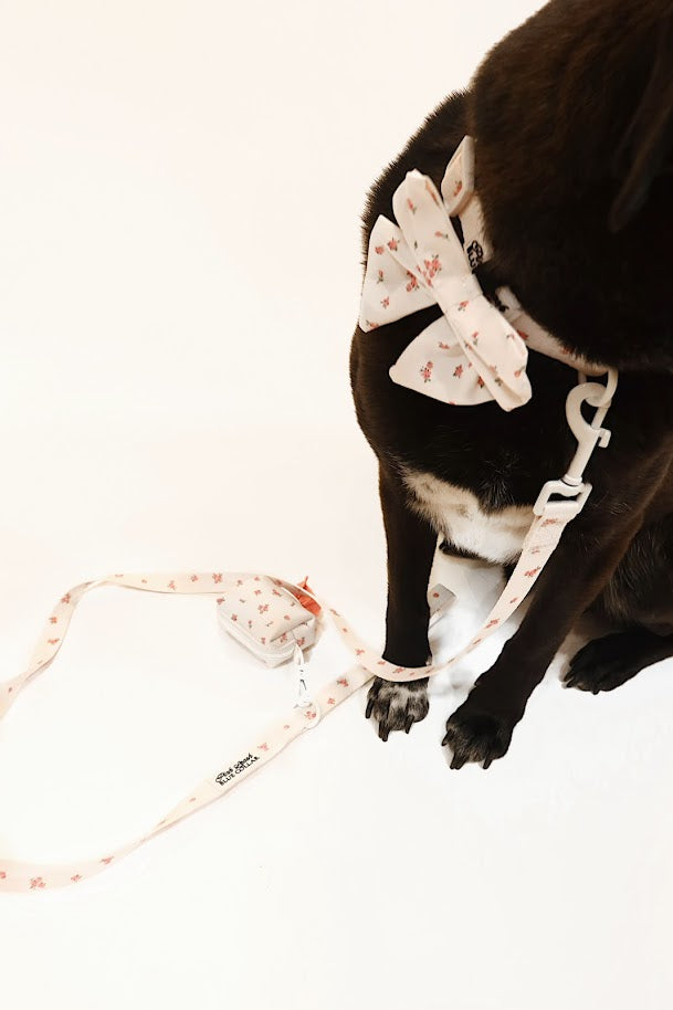 Pink Tiara Leash