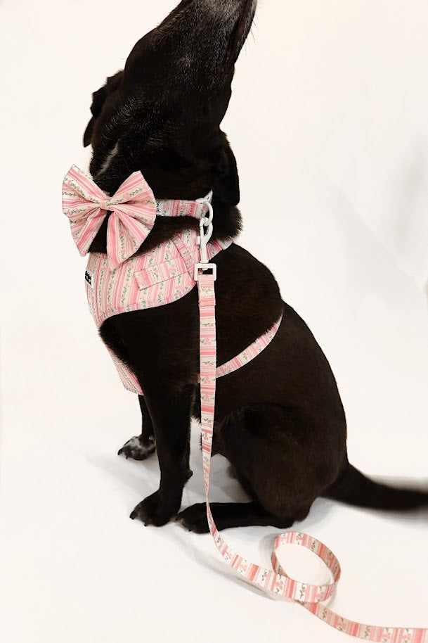 Rose Quartz Ritz Bow