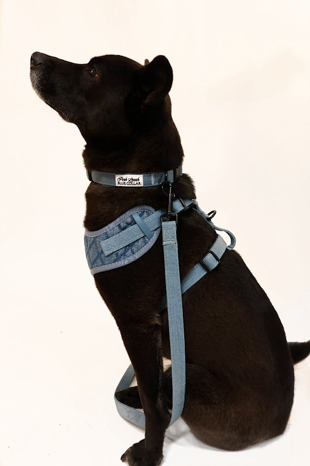 Denim Leash