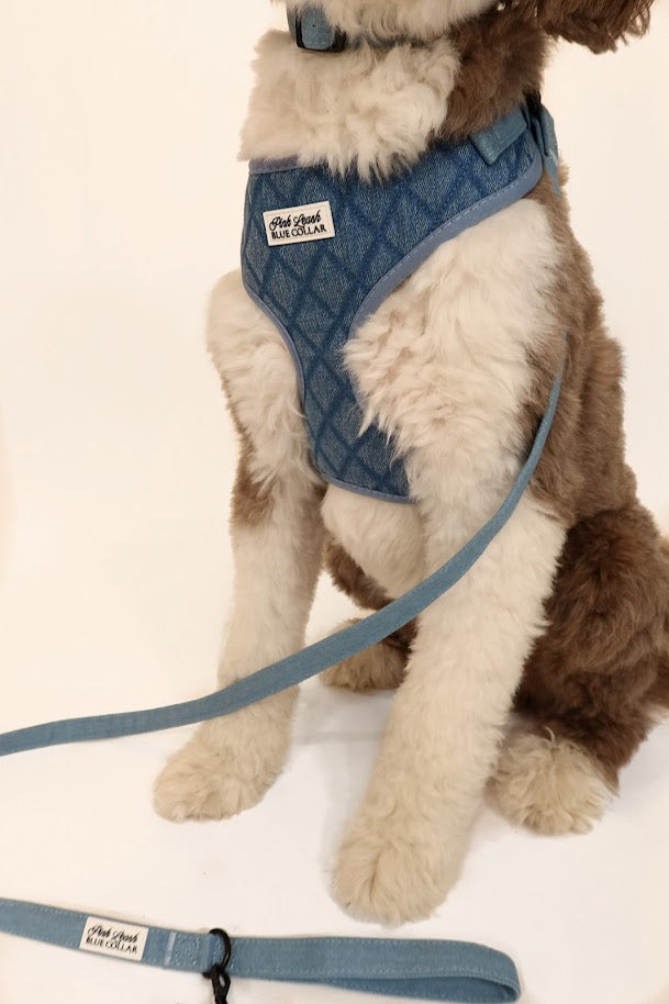 Denim Harness