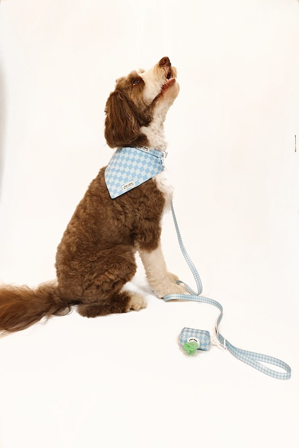 Diamond District Leash