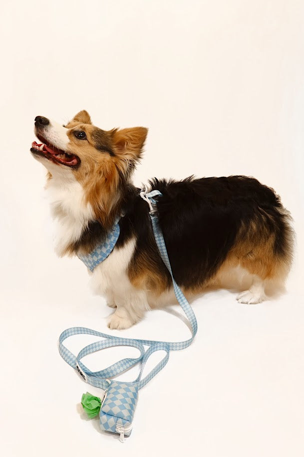 Diamond District Leash