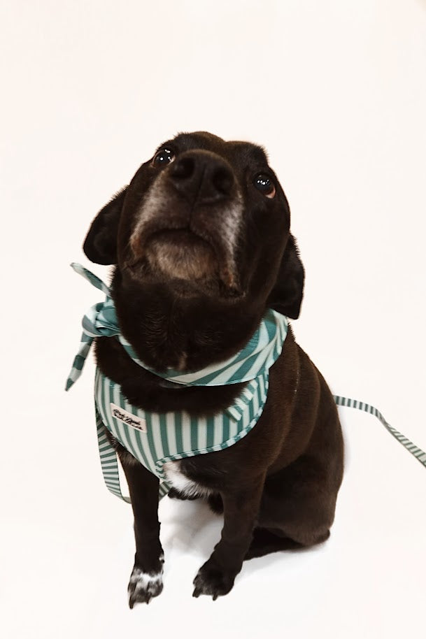 Emerald Estate Harness