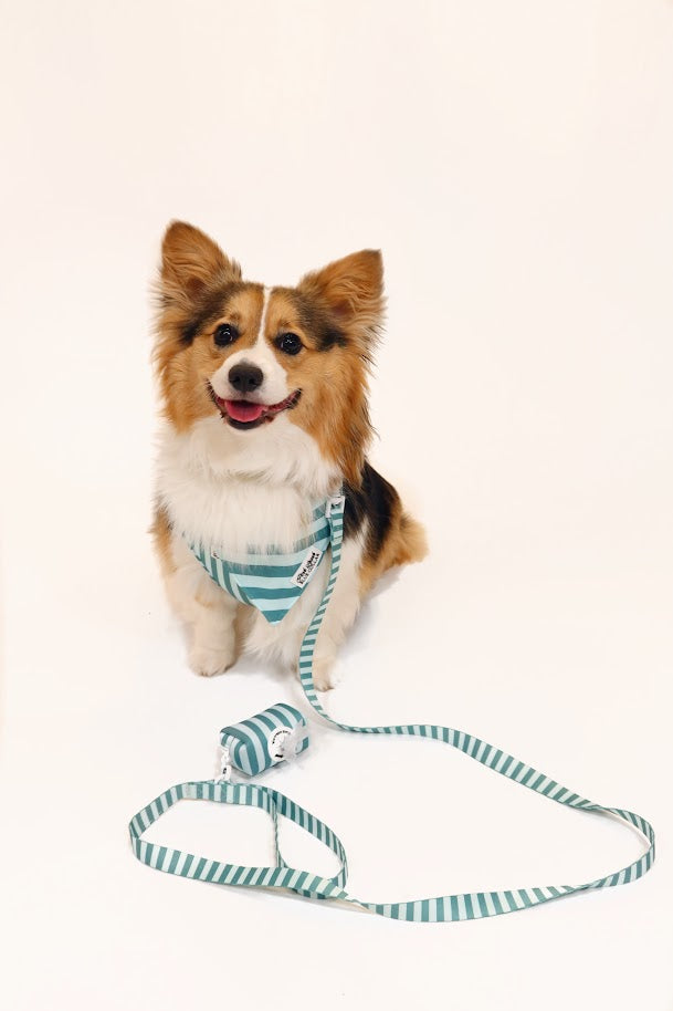 Emerald Estate Leash