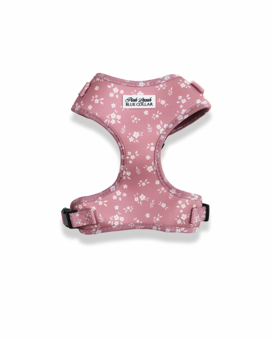 White Chocolate Raspberry Harness