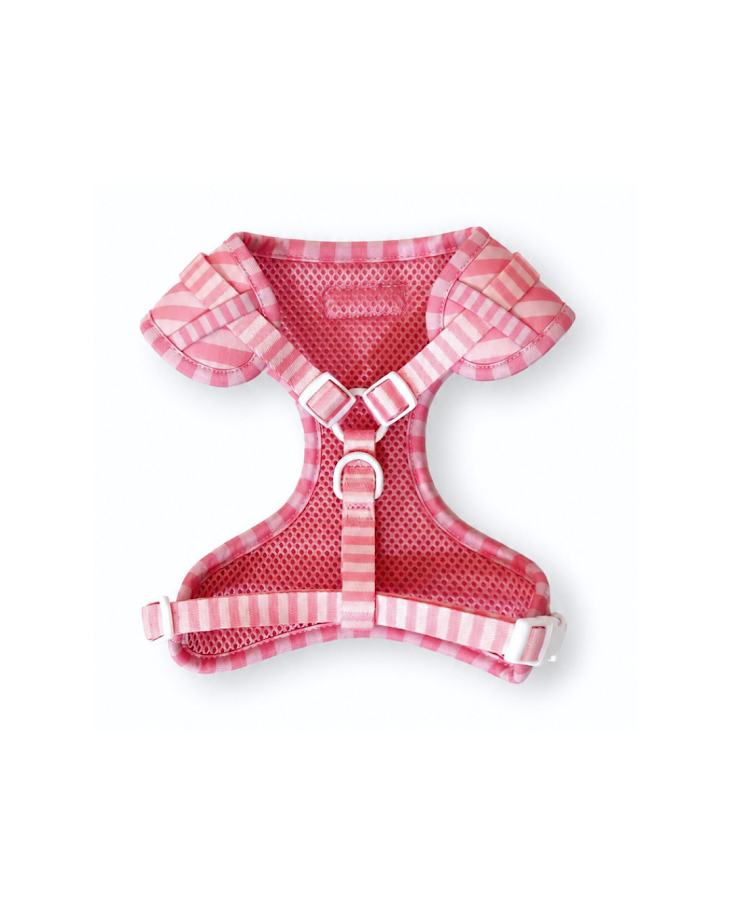Morganite Manor Harness