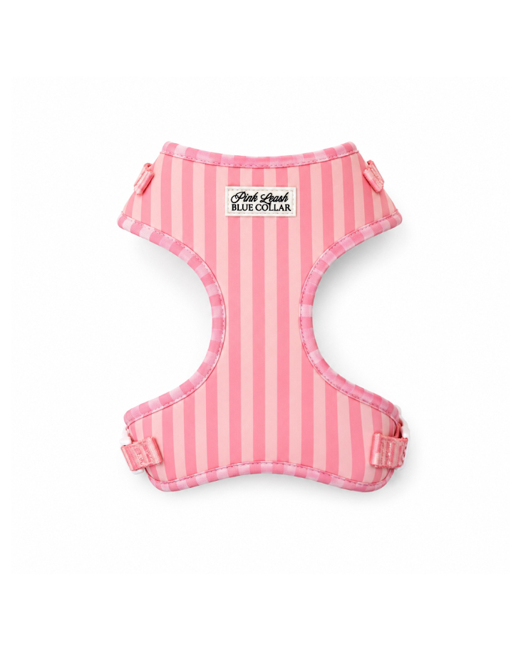 Morganite Manor Harness