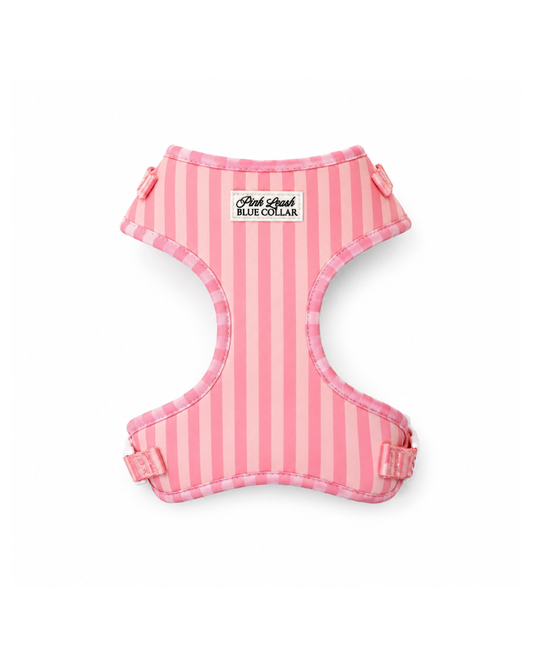 Morganite Manor Harness