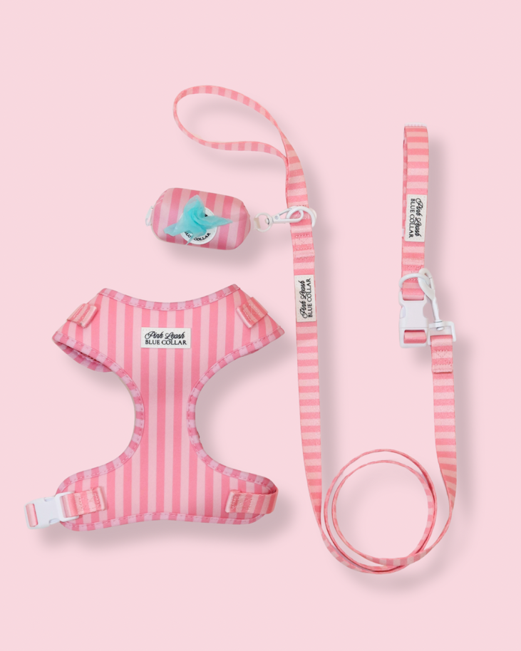 Morganite Manor Essentials Set