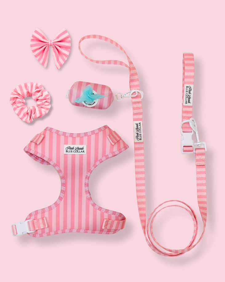6 Weeks of Chic! Morganite Manor Ultimate Set