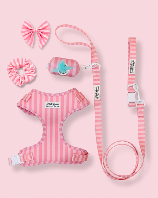 6 Weeks of Chic! Morganite Manor Ultimate Set