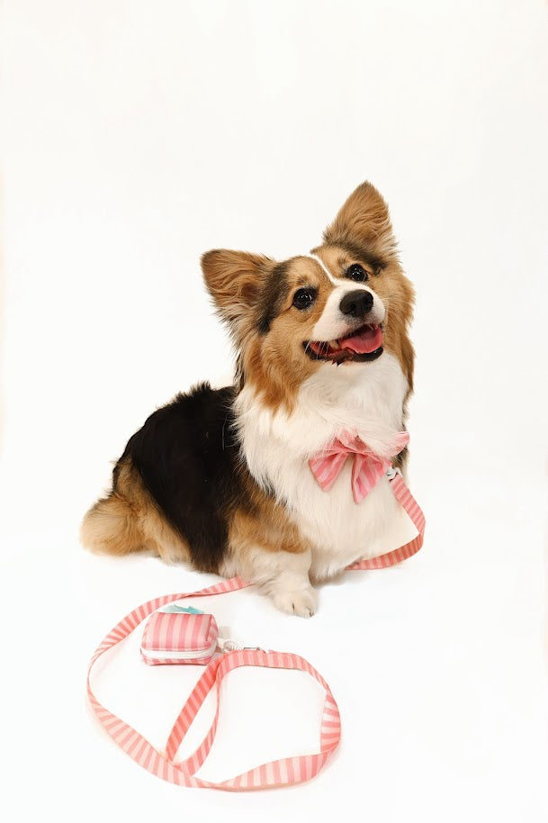 Morganite Manor Leash