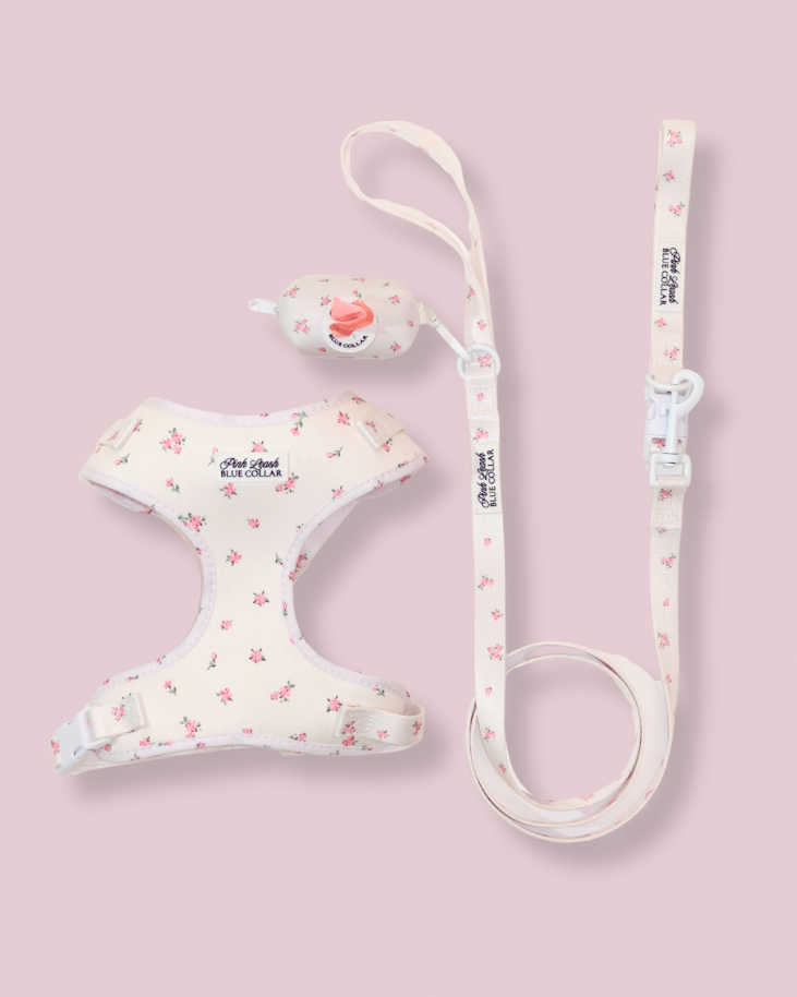 Pink Tiara Essentials Set