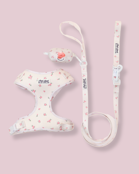 Pink Tiara Essentials Set