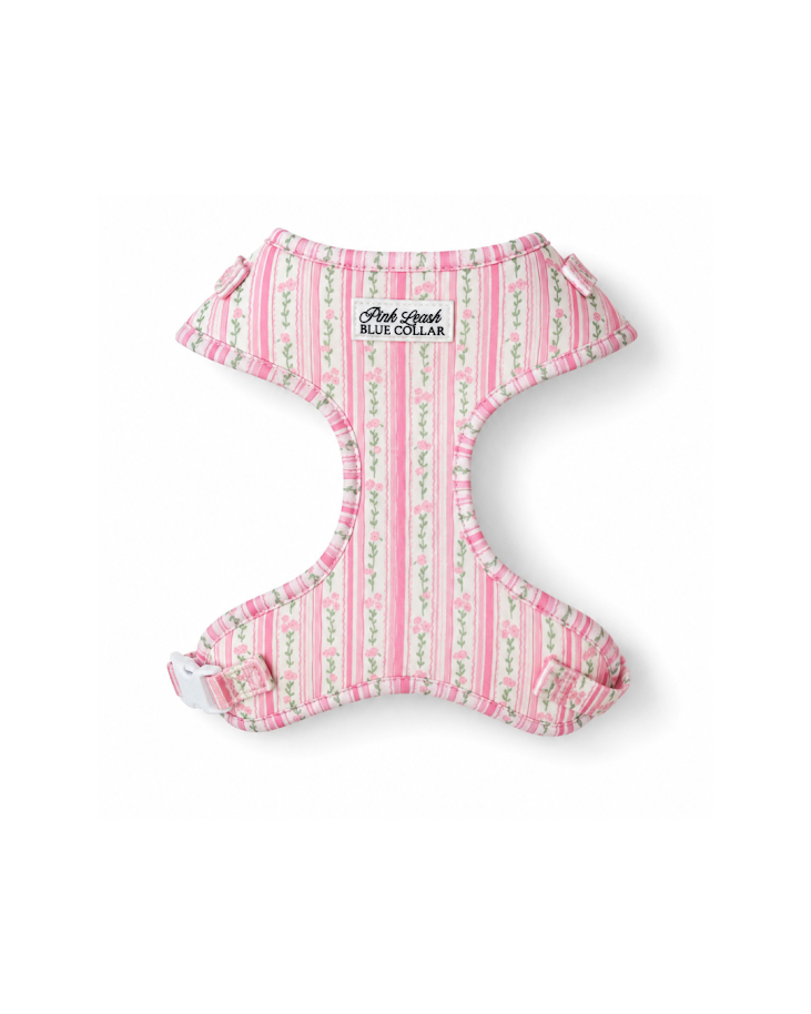 Rose Quartz Ritz Harness