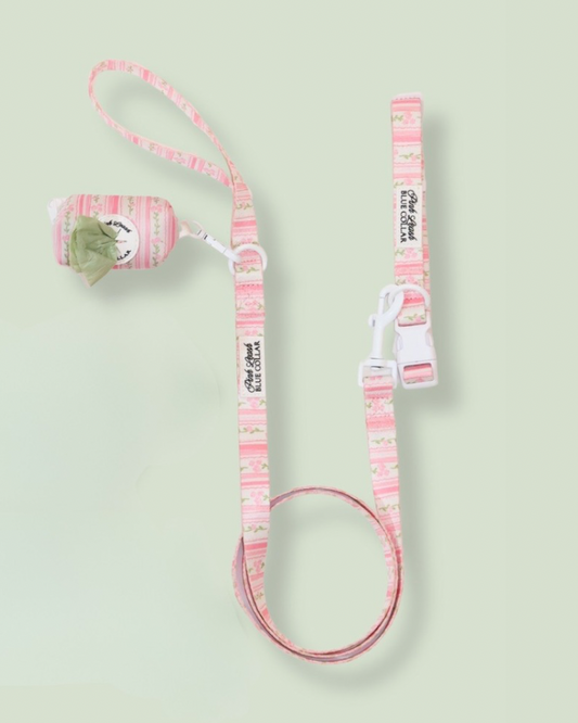 Rose Quartz Ritz Starter Set