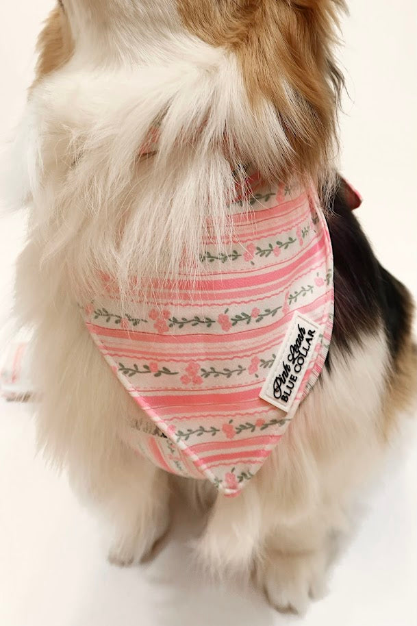 Rose Quartz Ritz Bandana