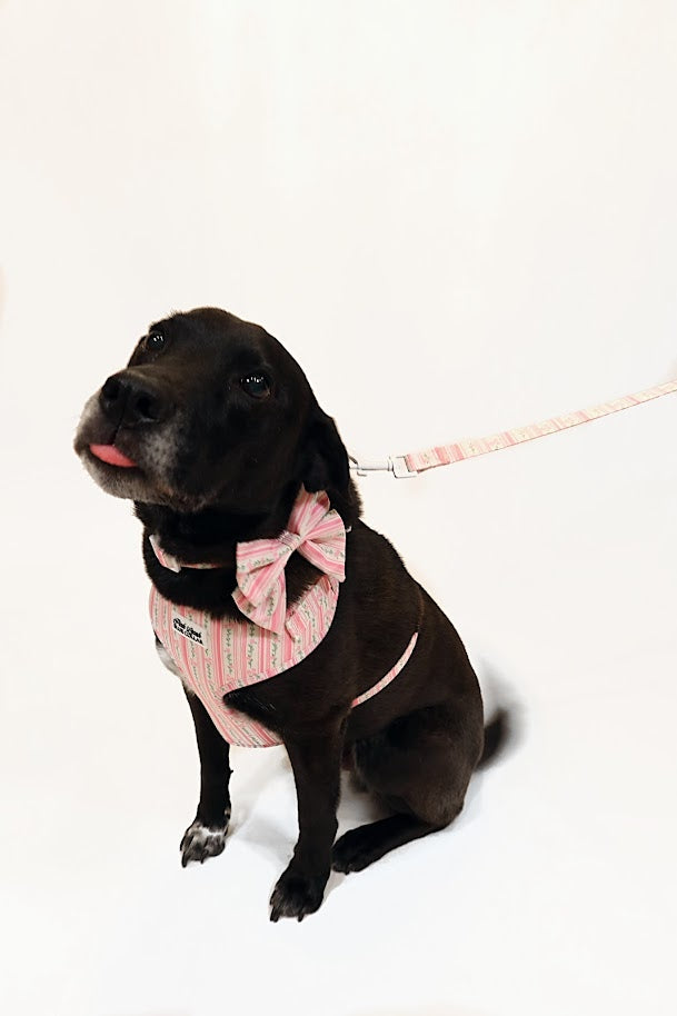 Rose Quartz Ritz Bandana