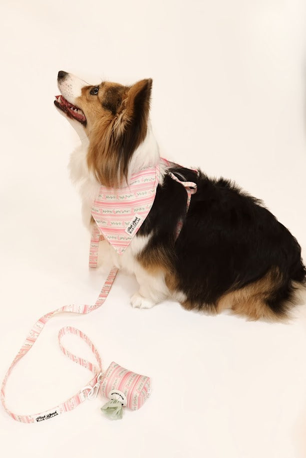 Rose Quartz Ritz Leash