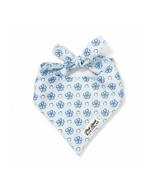 Sapphire Sorbet Bandana