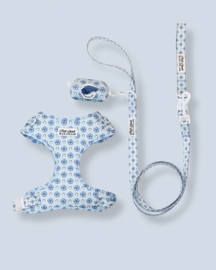 Sapphire Sorbet Essentials Set