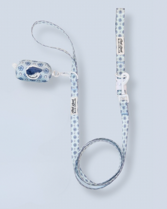 Sapphire Sorbet Starter Set