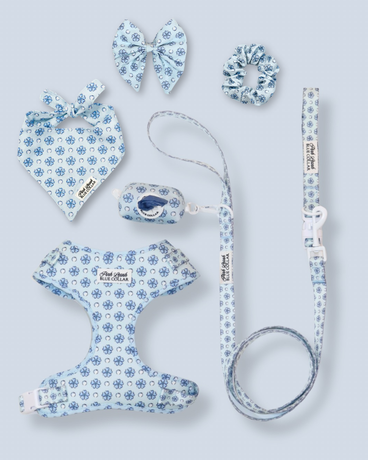 6 Weeks of Chic! Sapphire Sorbet Ultimate Set