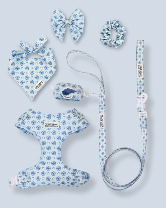 6 Weeks of Chic! Sapphire Sorbet Ultimate Set