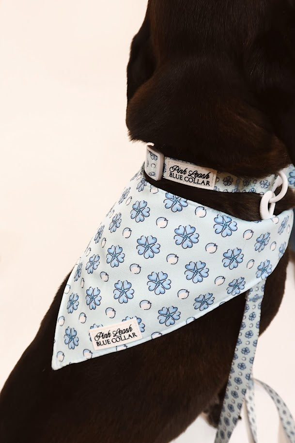 Sapphire Sorbet Bandana