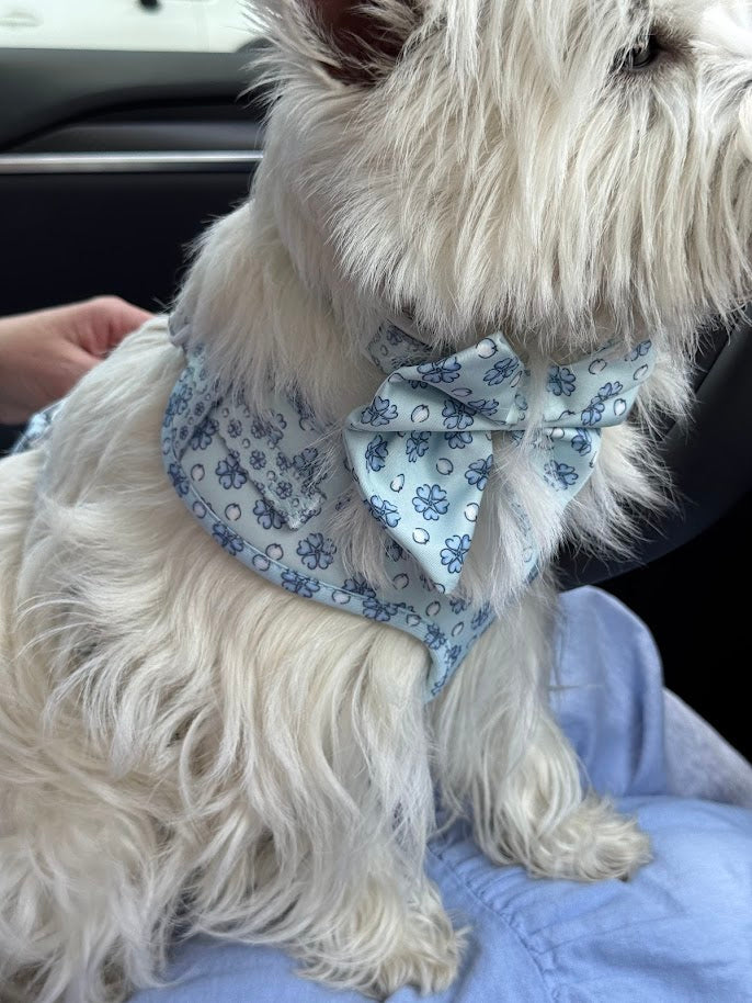Sapphire Sorbet Harness