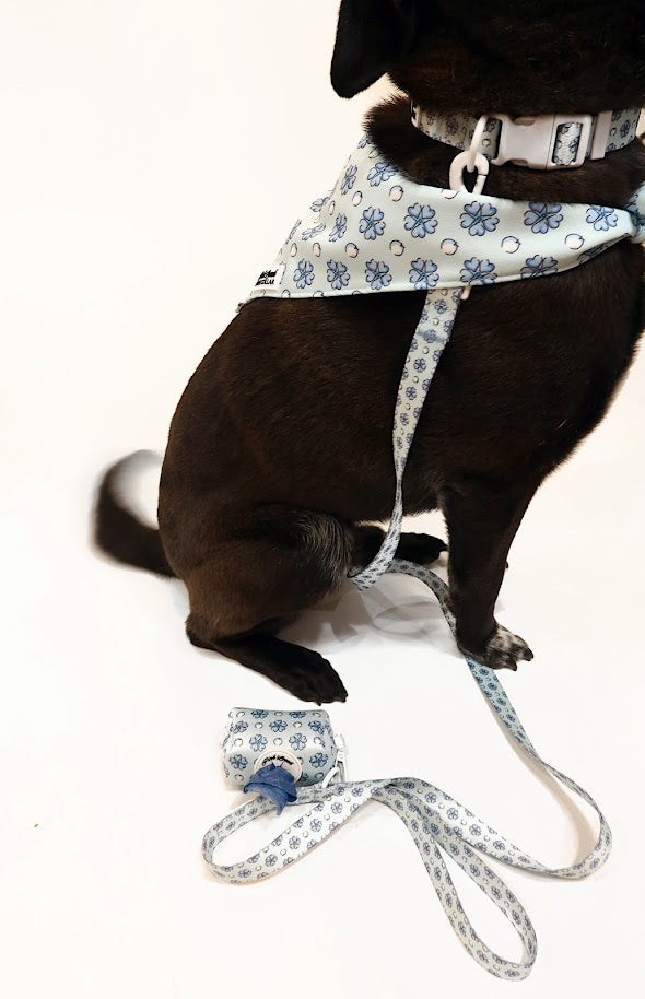 Sapphire Sorbet Leash