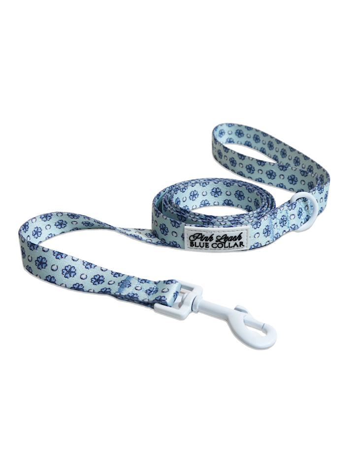 Sapphire Sorbet Leash