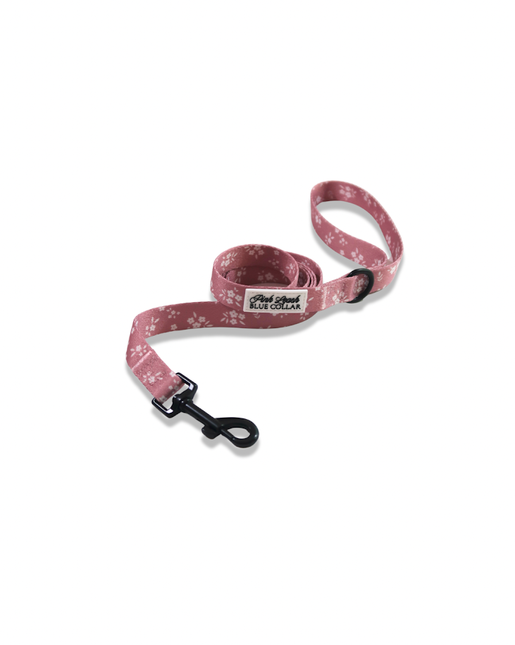 White Chocolate Raspberry Leash